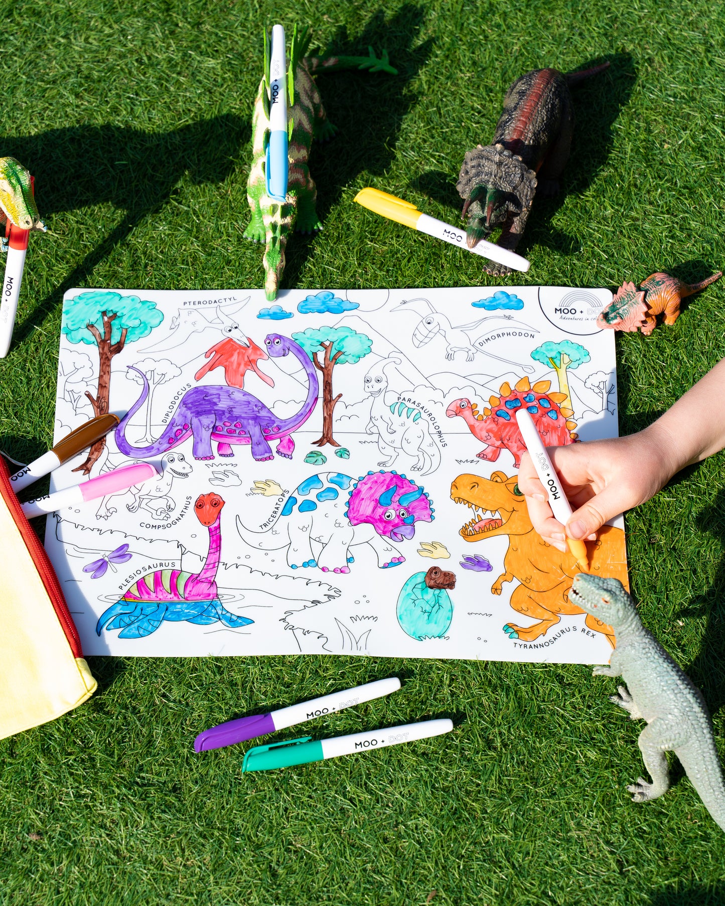 Dinosaurs Mat Set
